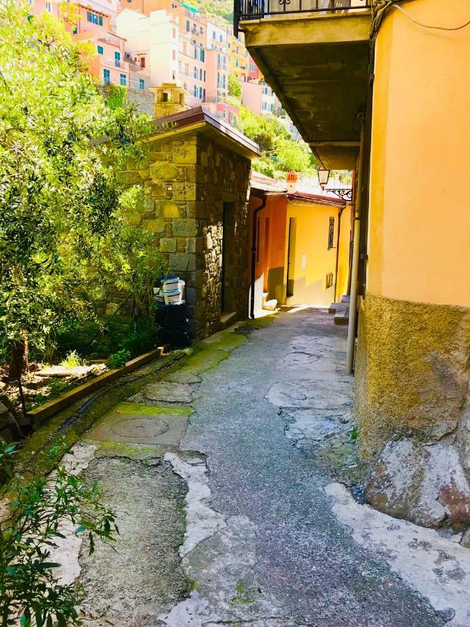 La Chiocciola Villa Manarola Exterior photo
